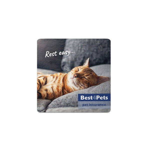 Custom Square Magnets